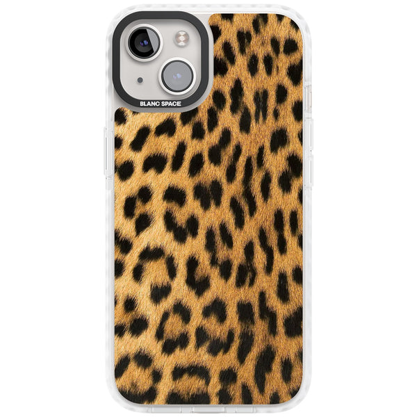 Savannah Leopard