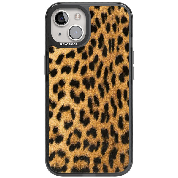 Savannah Leopard
