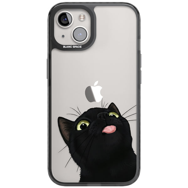 Black Cat Energy