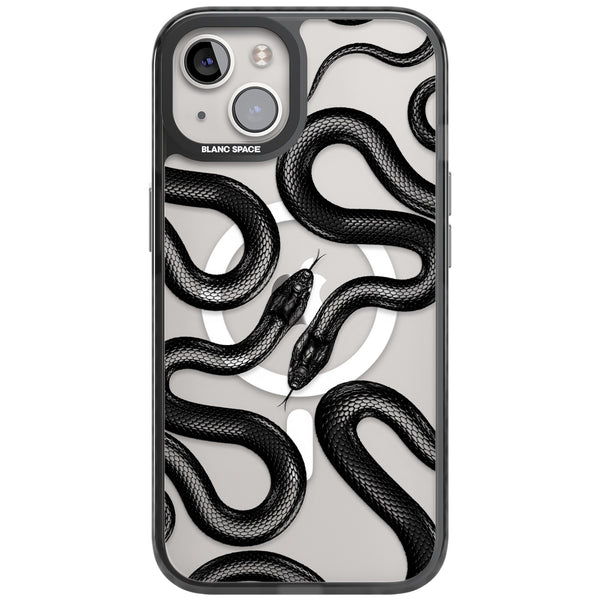 Black Kingsnake