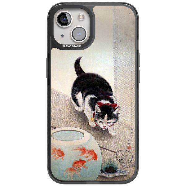 Cat & Goldfish Bowl