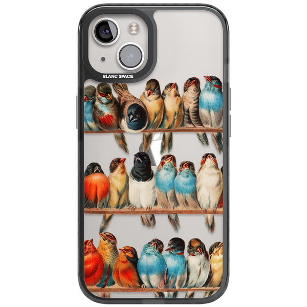 A Perch Of Birds