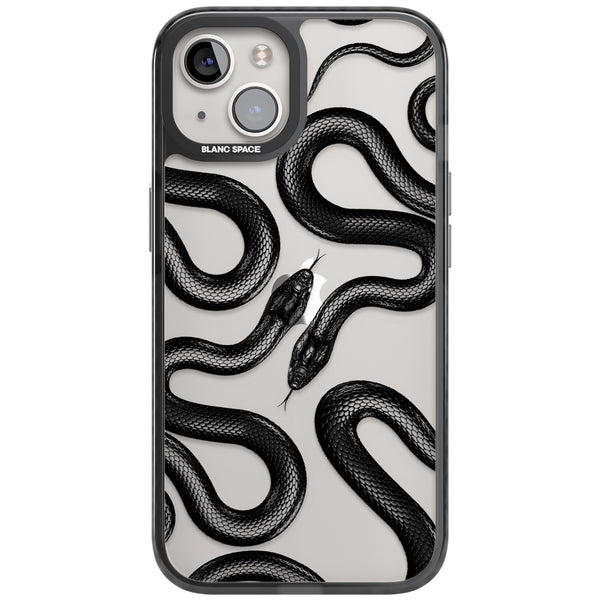 Black Kingsnake