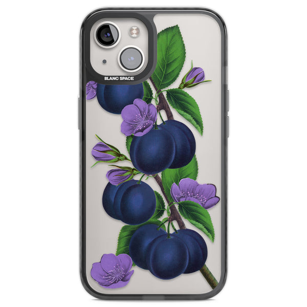 Vintage Painted Plums