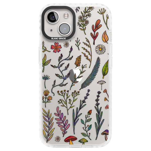 Autumn Wildflowers