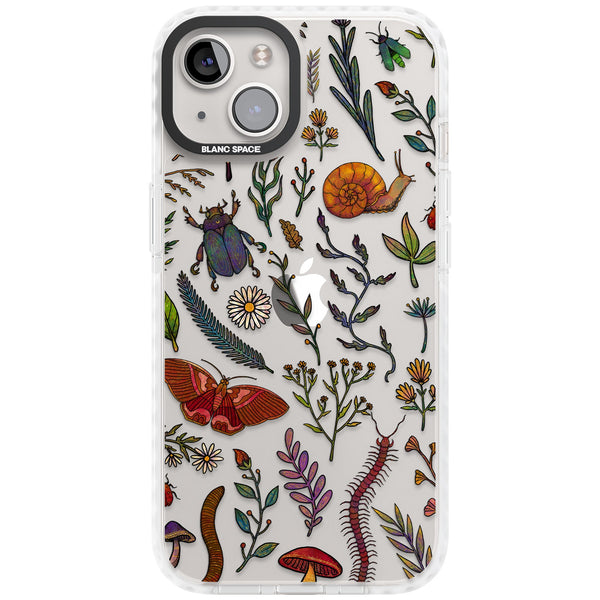 Bugs & Wildflowers