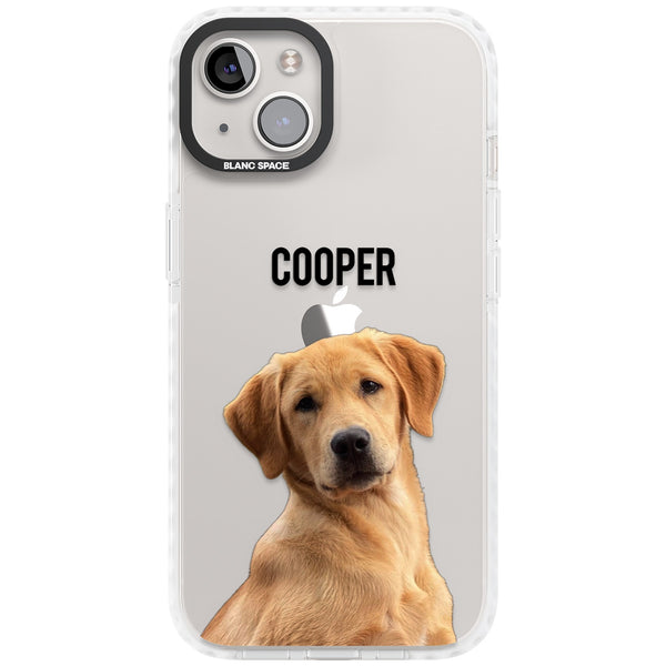 Personalised Pet Cutout & Name