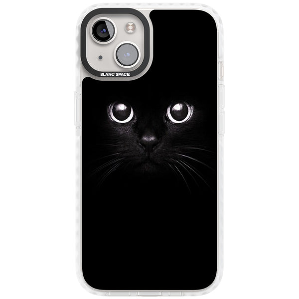 Black Cat