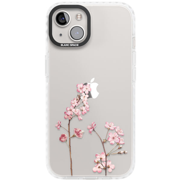 Blossom Flower