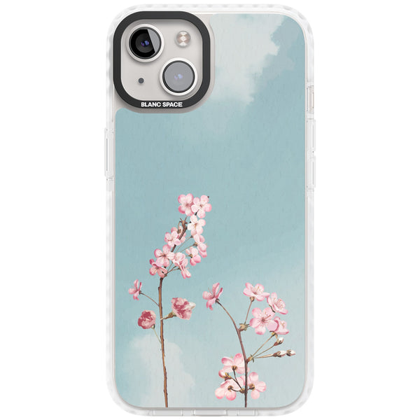 Blossom Flower Sky