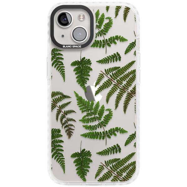 Leafy Ferns