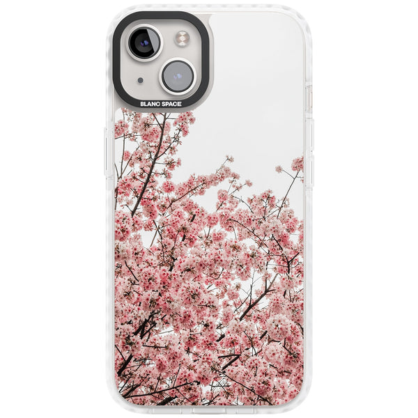 Cherry Blossom Bloom