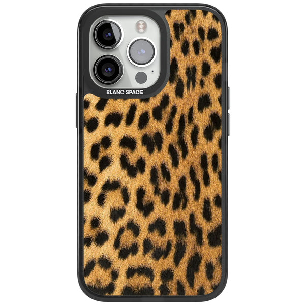 Savannah Leopard