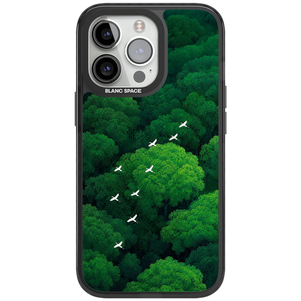 Grove Migration