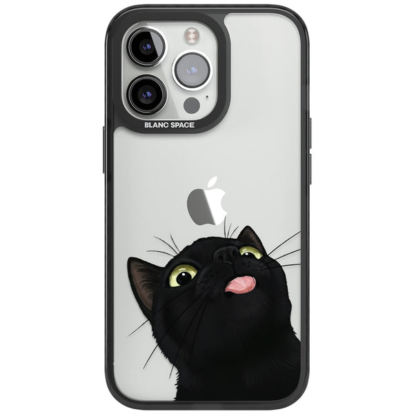 Black Cat Energy