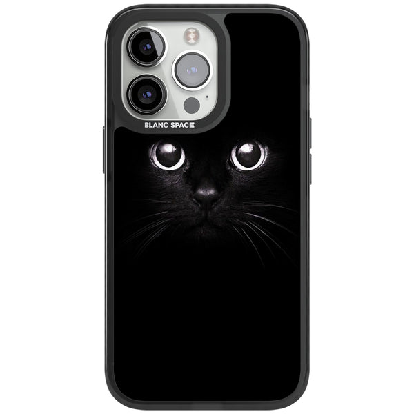 Black Cat