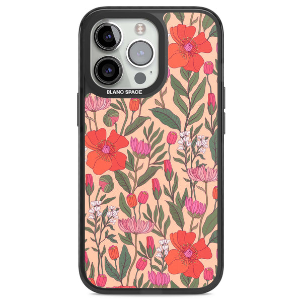 Coral Meadow