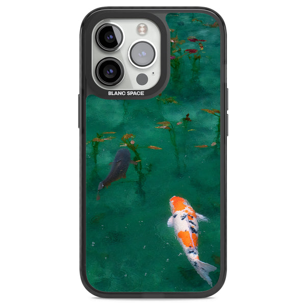 Koi Fish