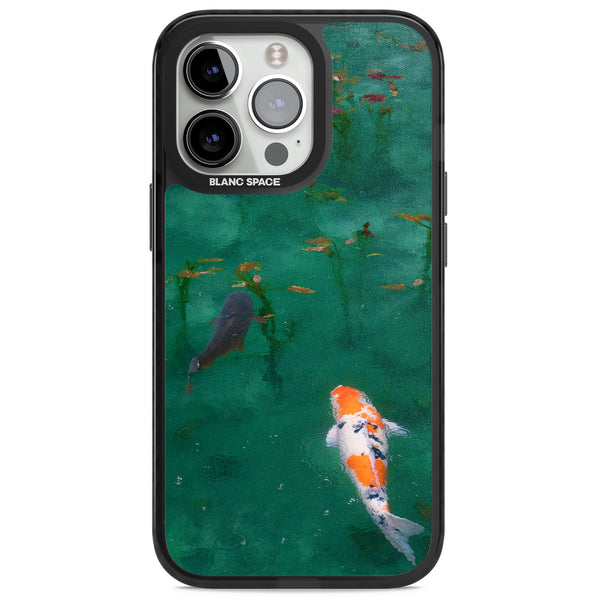 Koi Fish