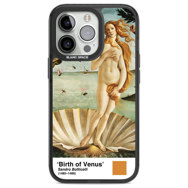 The Birth Of Venus
