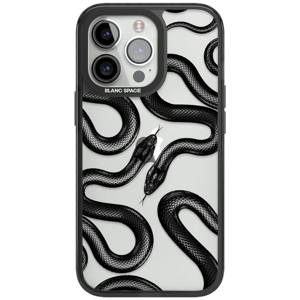Black Kingsnake