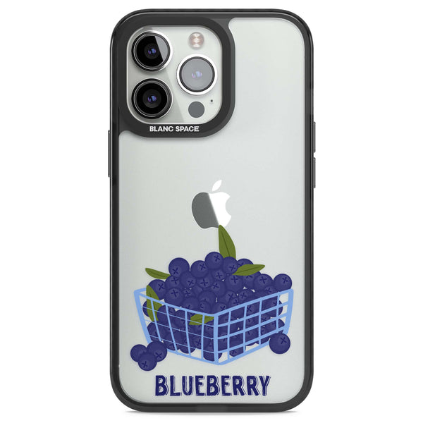 Blueberry Basket