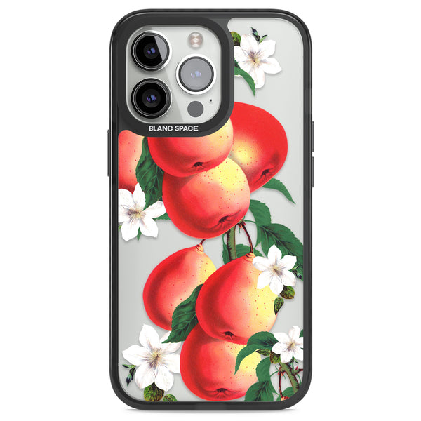 Vintage Painted Peaches