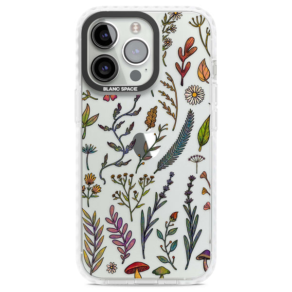 Autumn Wildflowers
