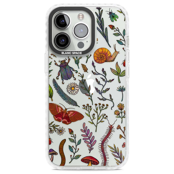 Bugs & Wildflowers