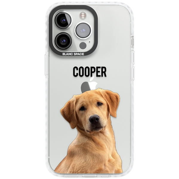 Personalised Pet Cutout & Name
