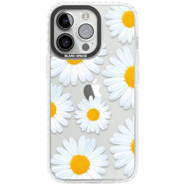 Summer Daisy