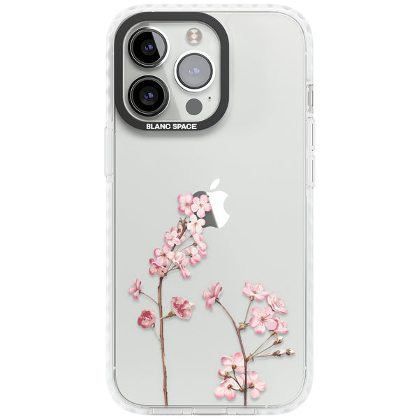Blossom Flower
