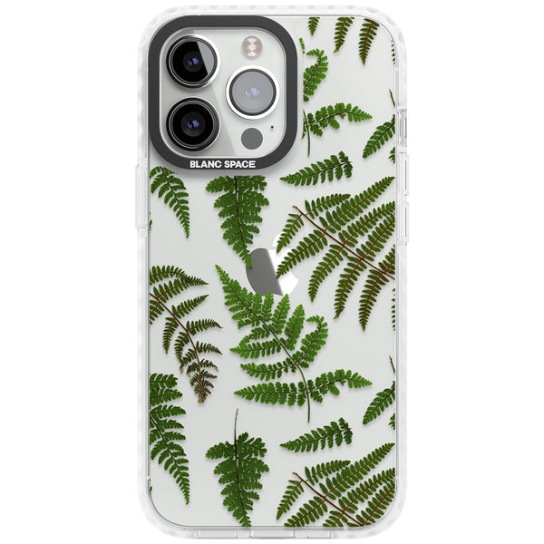 Leafy Ferns