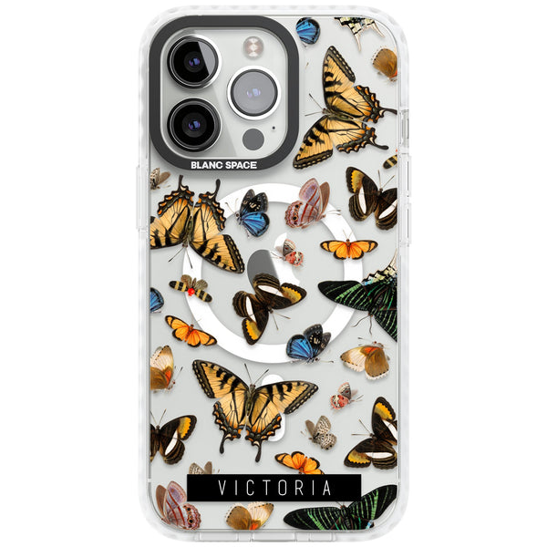 Personalised Butterfly Archive