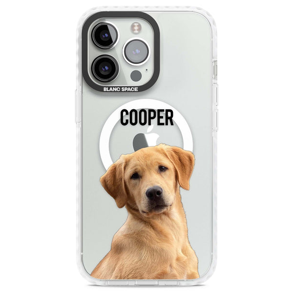 Personalised Pet Cutout & Name