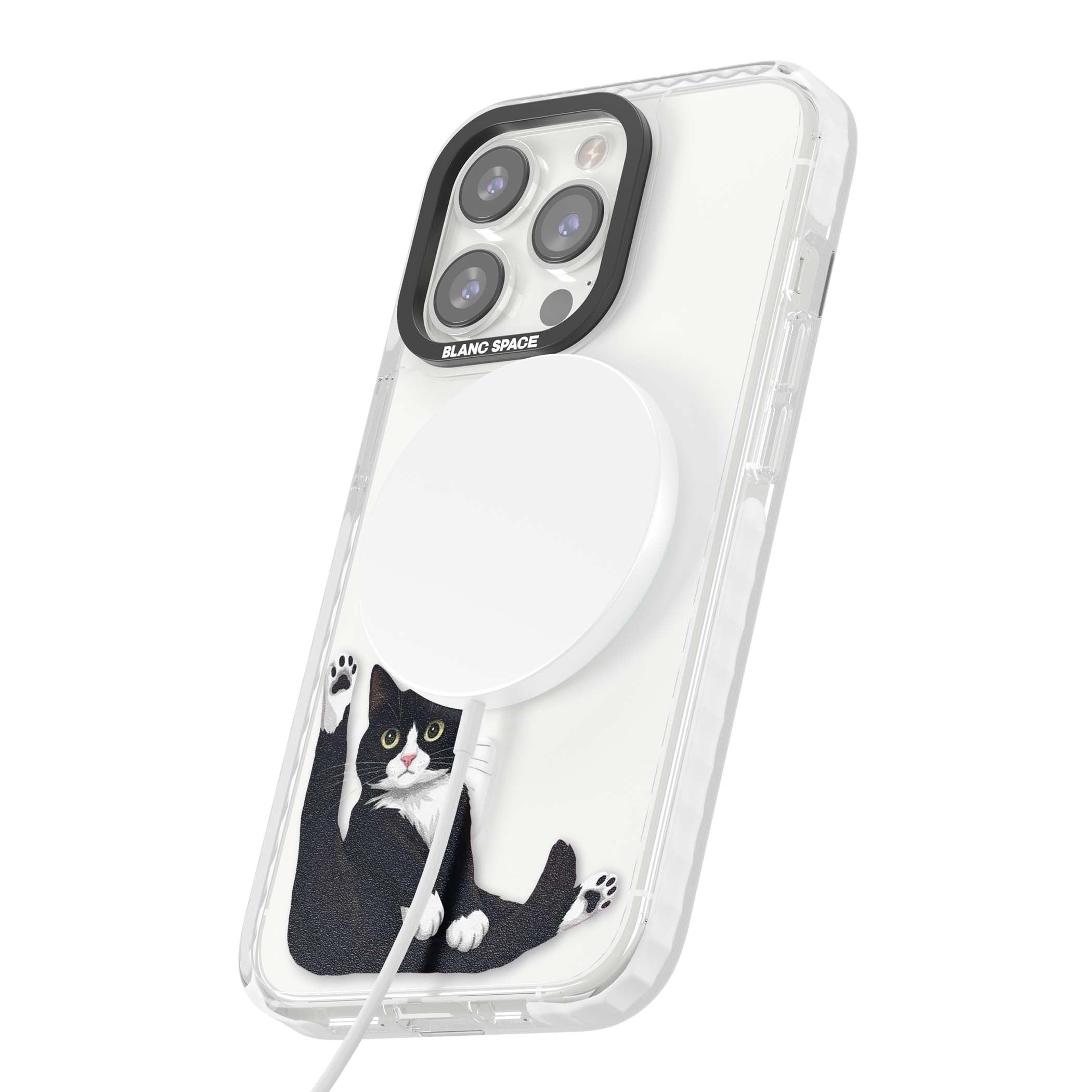 Mid-Groom Cat animals iPhone case | Impact Magsafe case for iPhone 13 Pro, iPhone 14 Pro, iPhone 15 Pro
