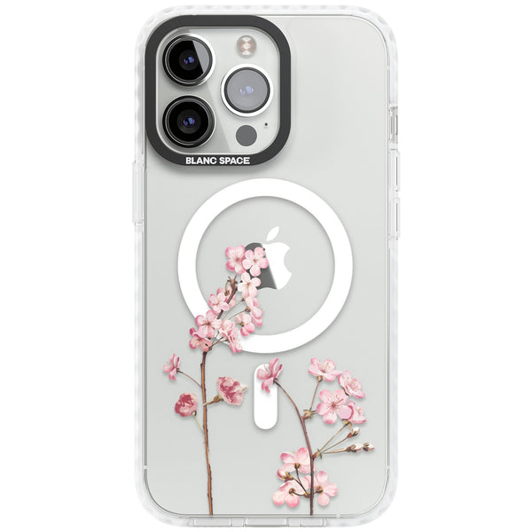 Blossom Flower