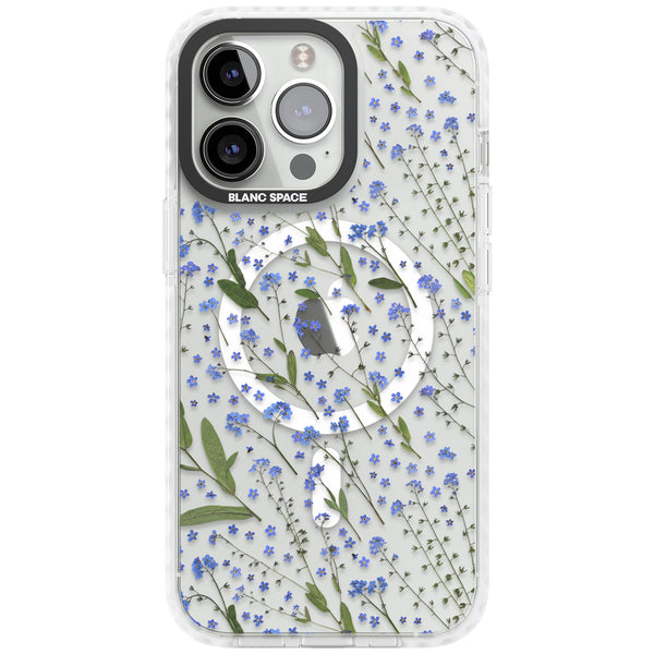 Blue Meadow