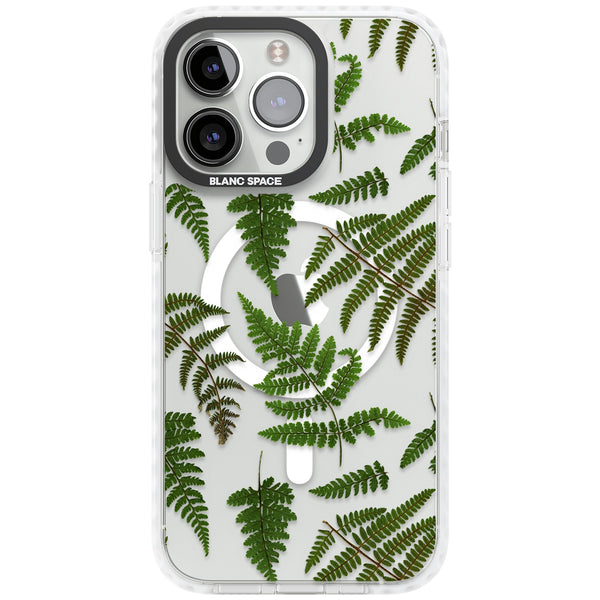Leafy Ferns