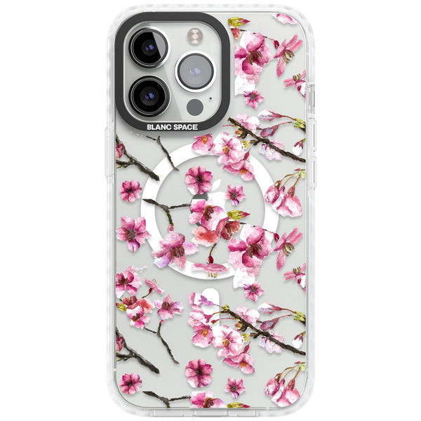 Sakura Bloom