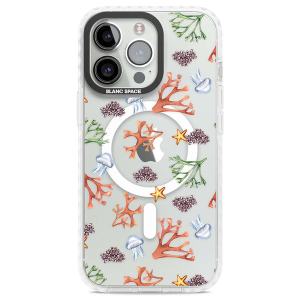 Coral & Jellyfish