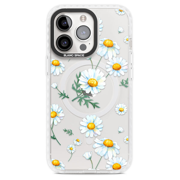 Vintage Painted Daisies