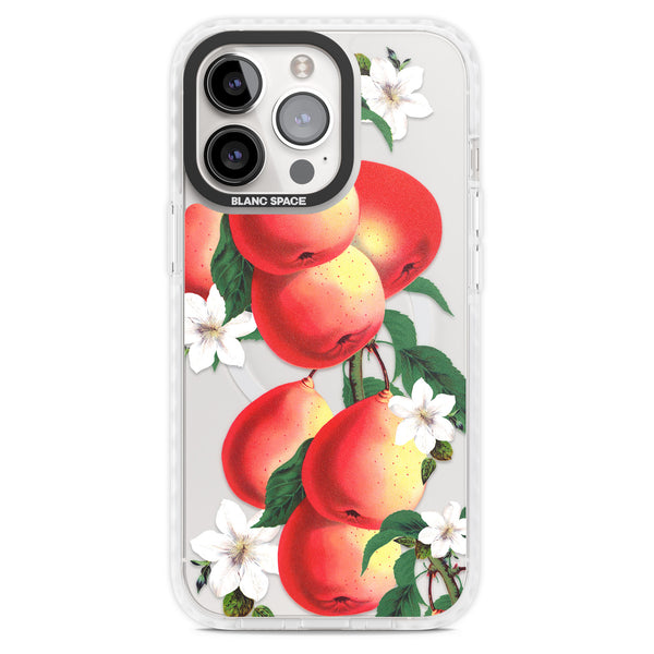 Vintage Painted Peaches
