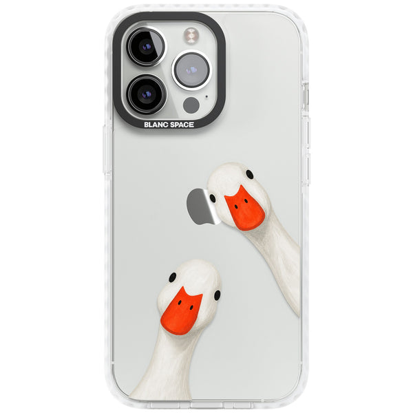 Nosy Ducks