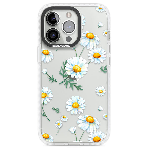 Vintage Painted Daisies