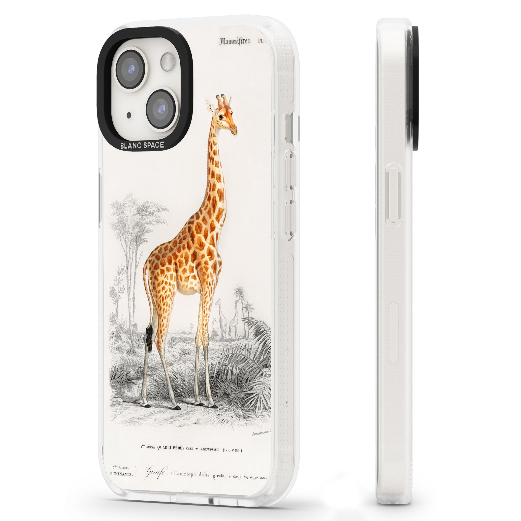 Vintage Giraffe Art iPhone 15 / 14 / 13 Clear Case Impact Air - Blanc Space