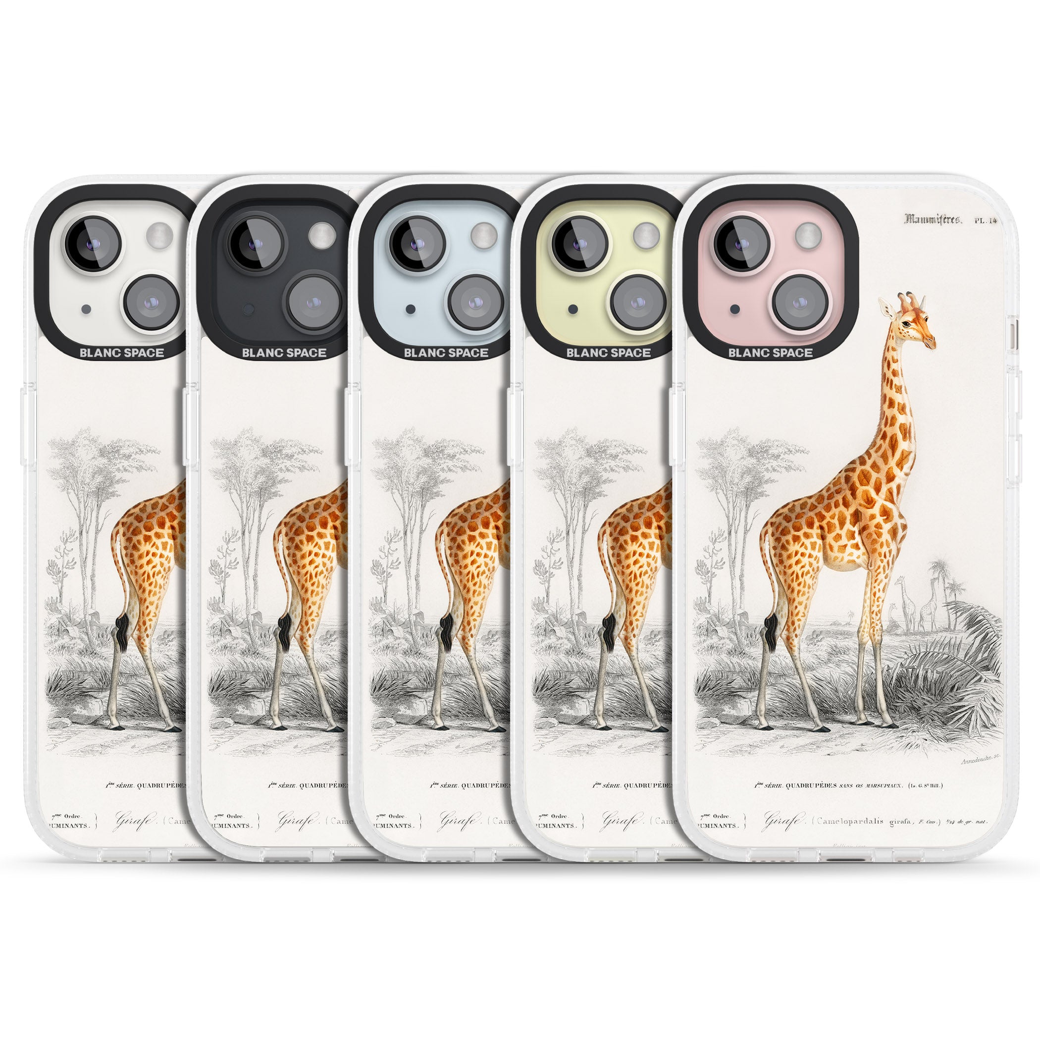 Vintage Giraffe Art iPhone 15 / 14 / 13 Clear Case Impact Air - Blanc Space