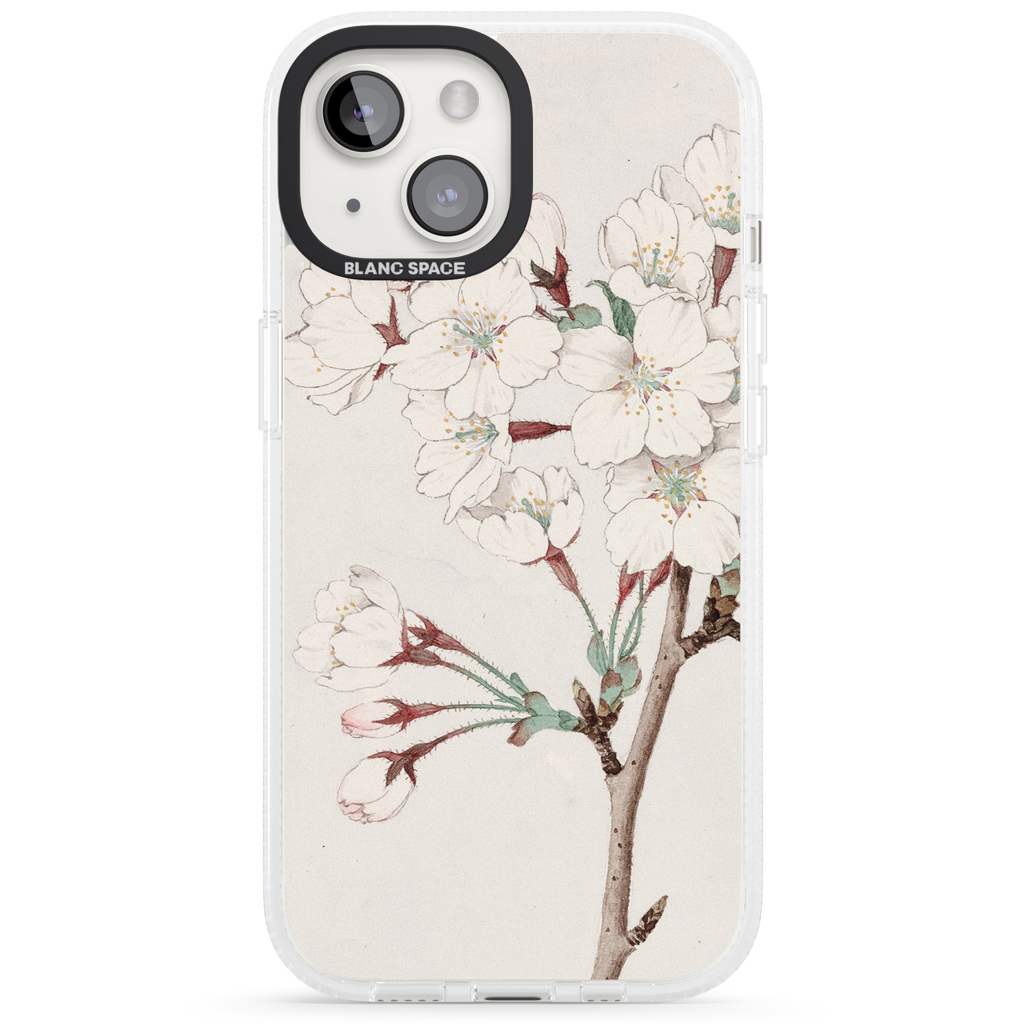 Vintage Japanese Illustrations Cherry Blossoms iPhone 15 / 14 / 13 Clear Case Impact Air - Blanc Space