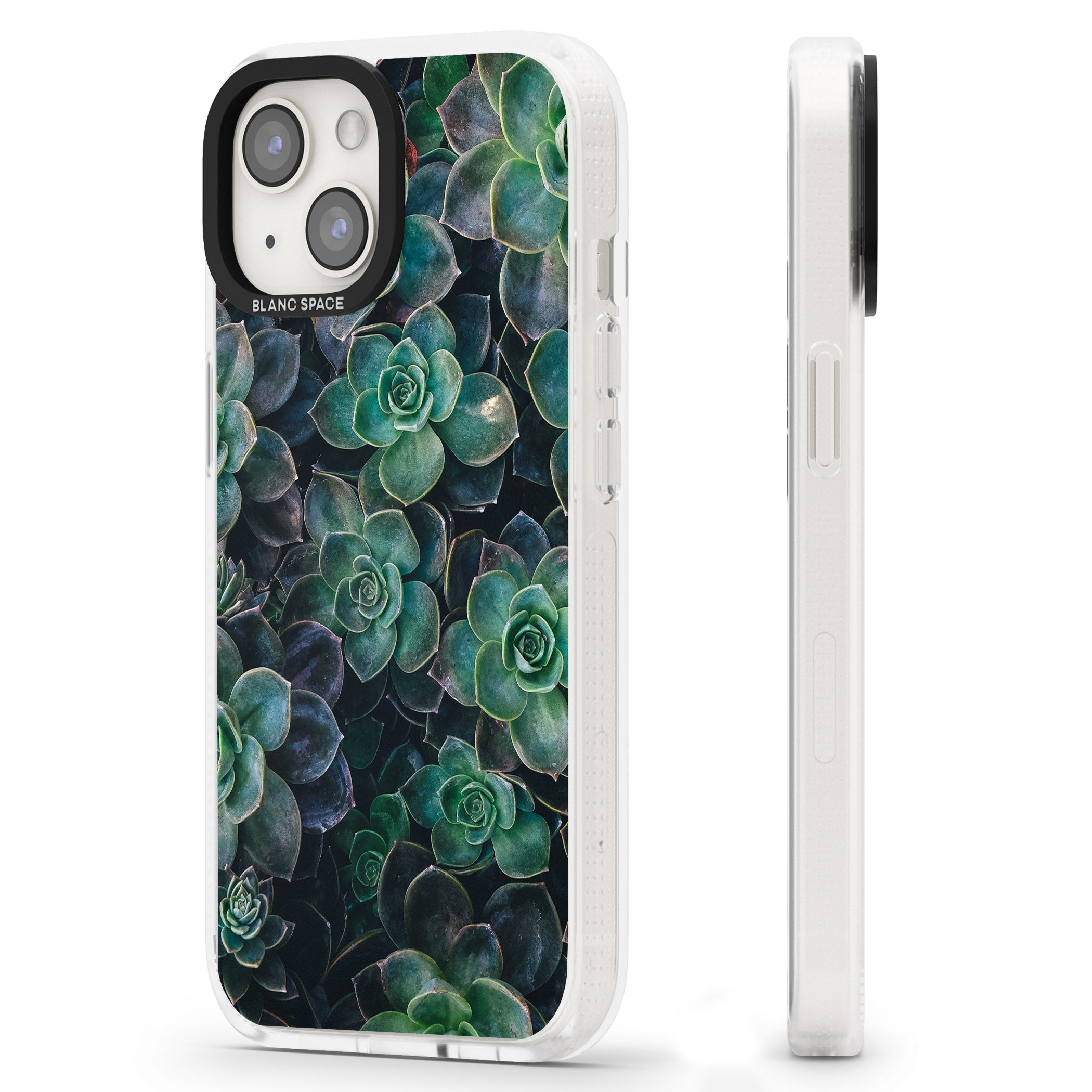 Succulents - Real Botanical Photographs iPhone 15 / 14 / 13 Clear Case Impact Air - Blanc Space