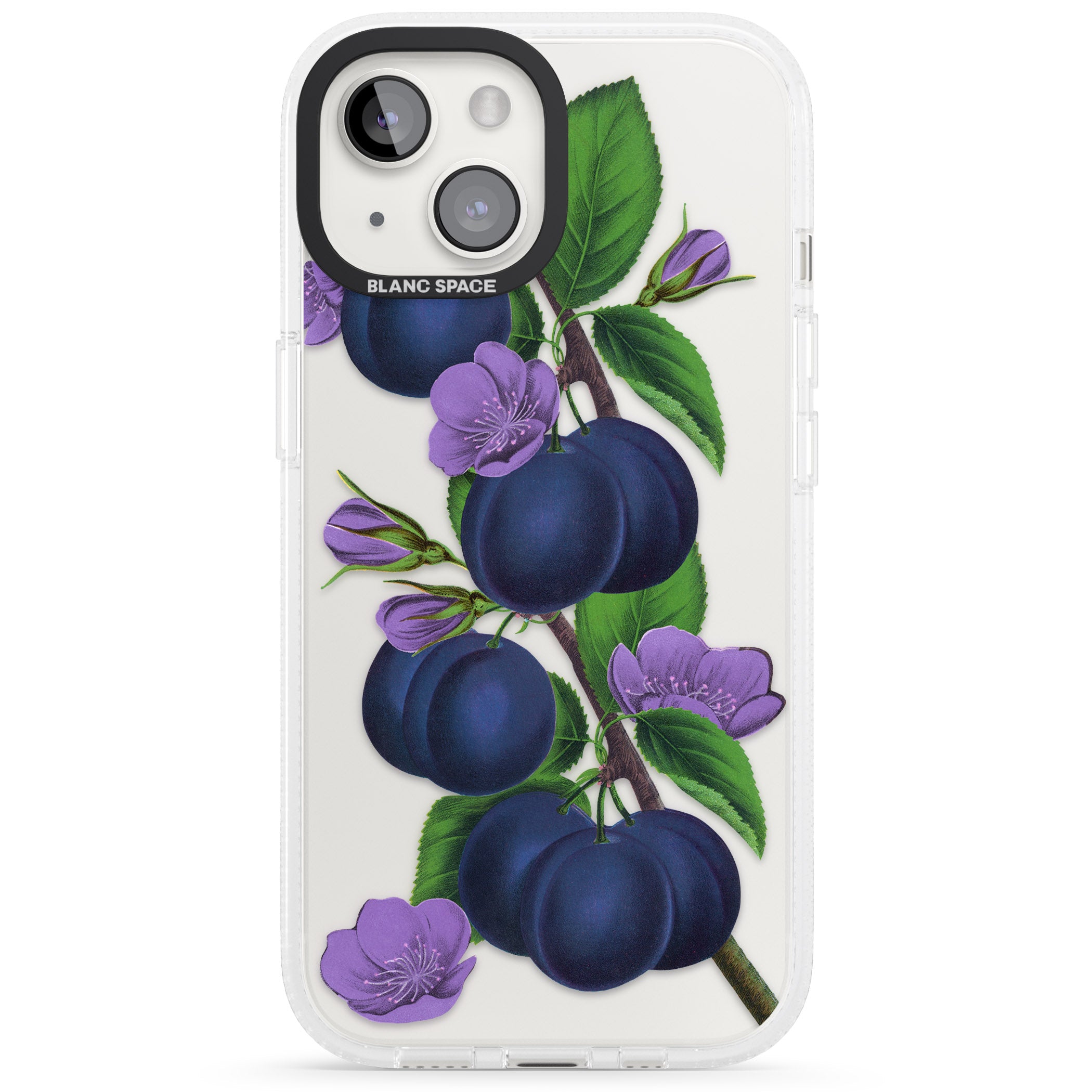 Vintage Painted Plums iPhone 15 / 14 / 13 Clear Case Impact Air - Blanc Space